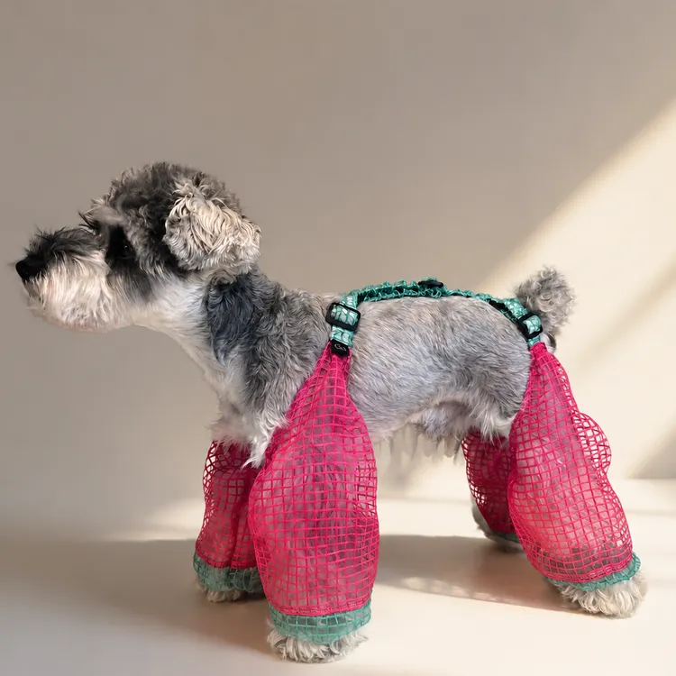 狗狗衣服夏季透气雪纳瑞比熊泰迪柴犬西高地防脏裤透气