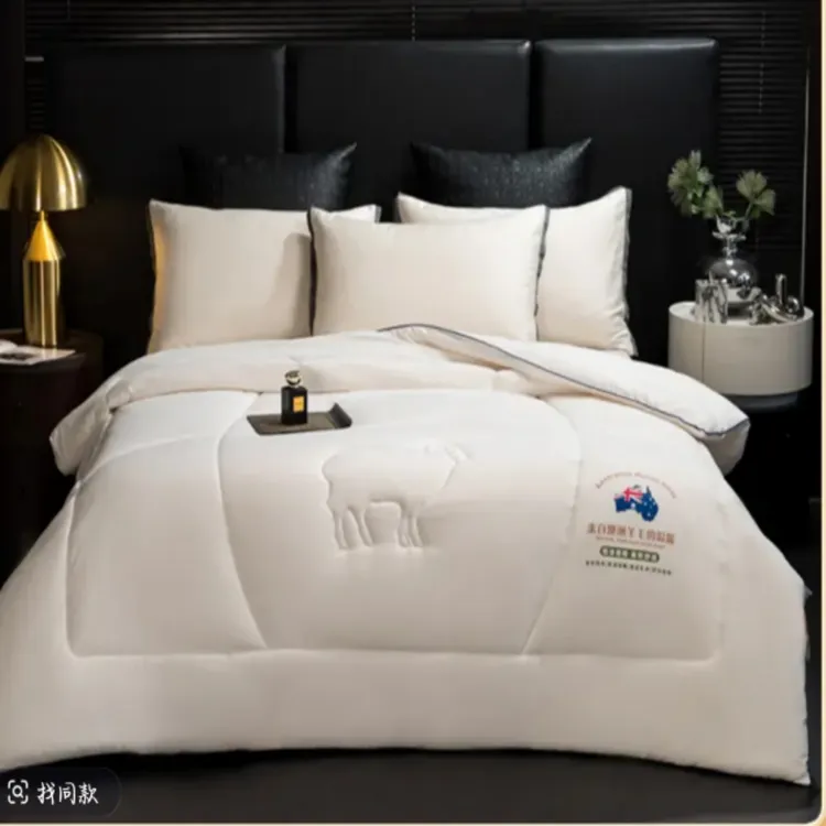 保暖被子被芯 200*230 约5.5斤