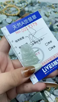 【闪购商品】翡翠颈饰未镶嵌天然A货翡翠