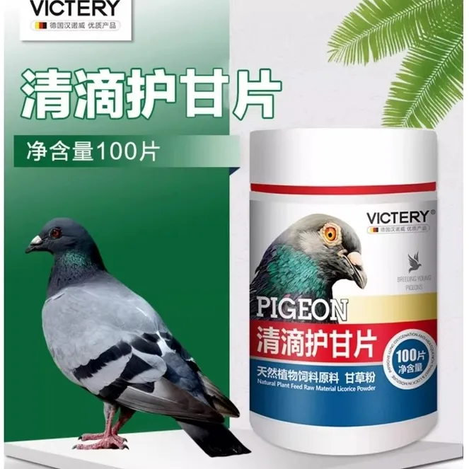 汉诺威清滴护甘片100片赛鸽毛滴虫安排赛鸽信鸽鸽子比赛