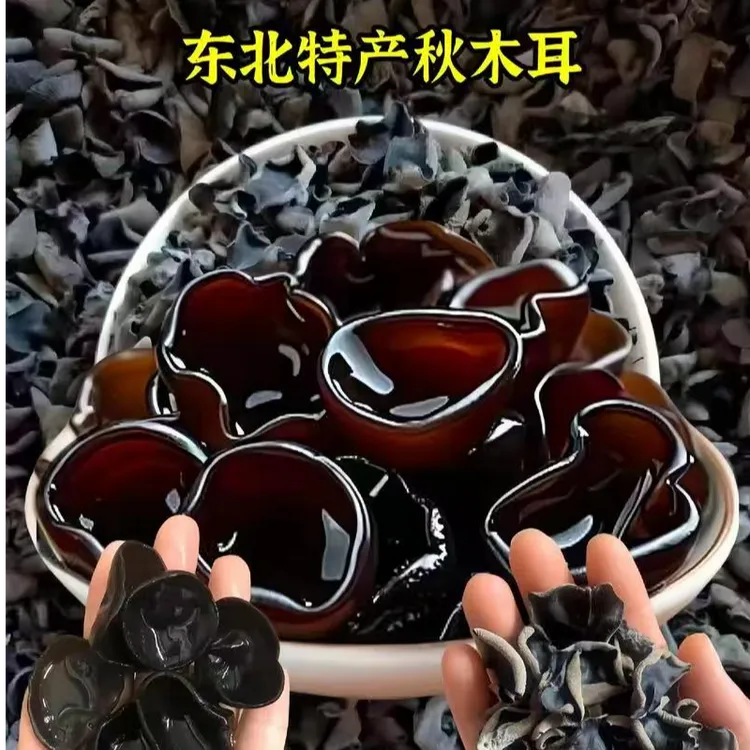 黑龙江秋木耳无根无沙肉厚500g/袋，可试吃100g