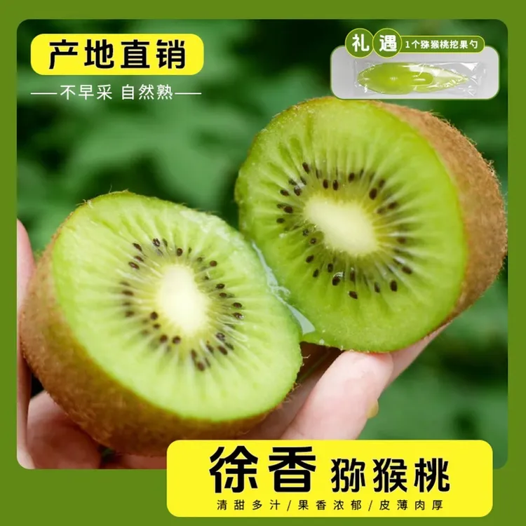 【催软即食】陕西正宗徐香猕猴桃优质树熟水果奇异果香甜多汁包邮