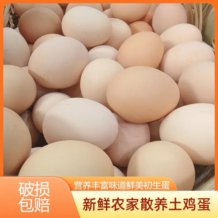 散养正宗土鸡蛋新鲜开窝土鸡蛋