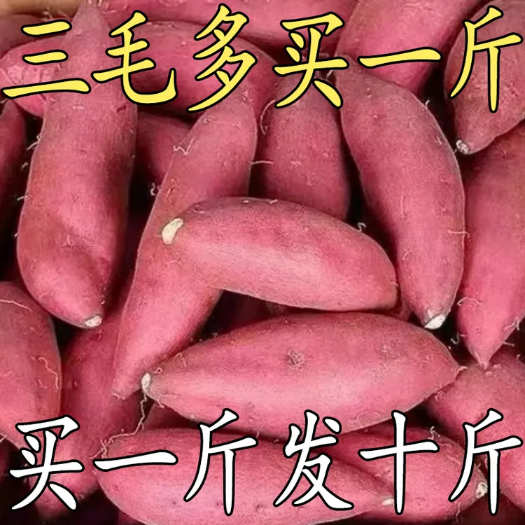 【抢购中】超甜黄心沙地蜜薯1/9斤红薯地瓜红苕番薯农家自种蔬菜