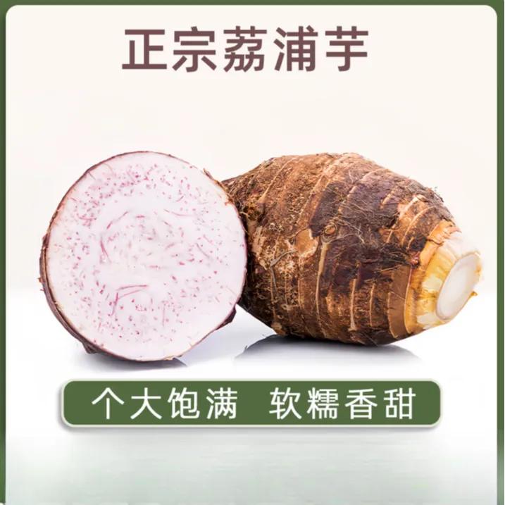 正宗广西桂林荔浦芋头粉糯荔浦香芋荔浦大芋头扣肉芋头商用批发