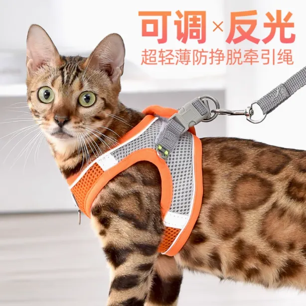 猫咪可调节溜狗养狗必备防爆冲背带式小型宠物牵引绳养狗必备用品