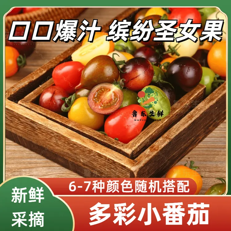 【多彩小番茄】山东当季6-7种颜色混千禧圣女果小番茄酸甜西红柿