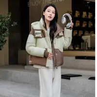 2025新款厚款连帽立领长款蓬松保暖潮流休闲极简风-E083