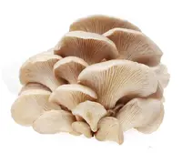 【标】平菇EA 约400g/份