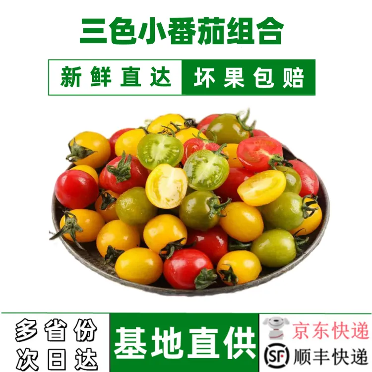 三色圣女果小番茄组合装【京东/顺丰包邮】