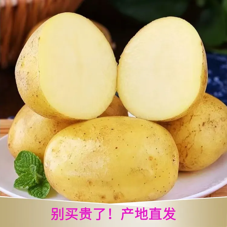 YY【带箱9.5-10斤】黄心黄皮新土豆粉糯开花起沙农家种植产地直发商品图