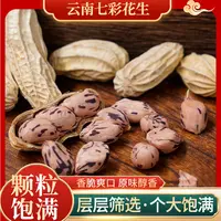 【云南七彩花生】云南产地发货香脆可口颗粒饱满原味清香包邮