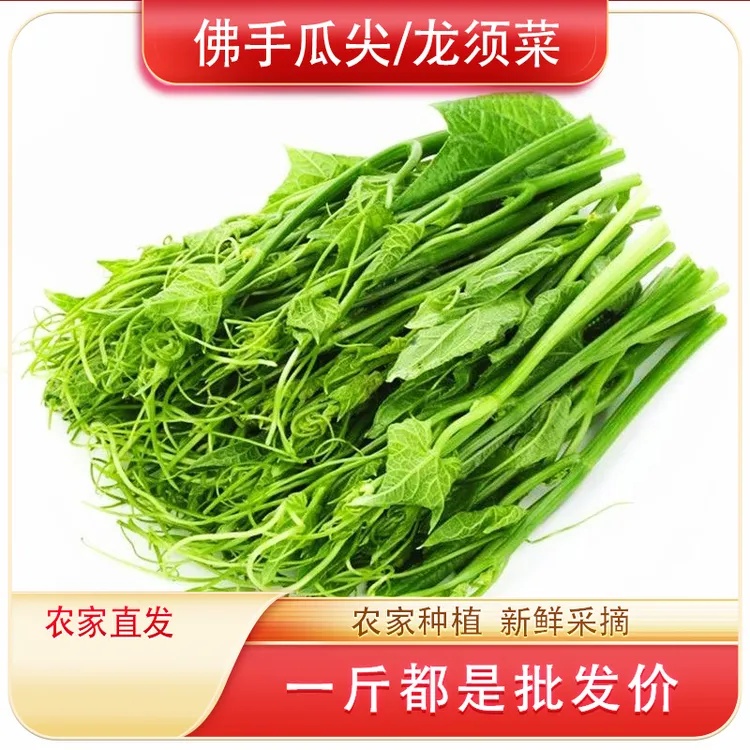 顺丰京东送货上门佛手瓜尖新鲜龙须菜产地直发农家自种
