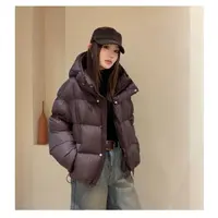 Haore Wei短款拼接长袖白鸭绒保暖网红洋气冬季女