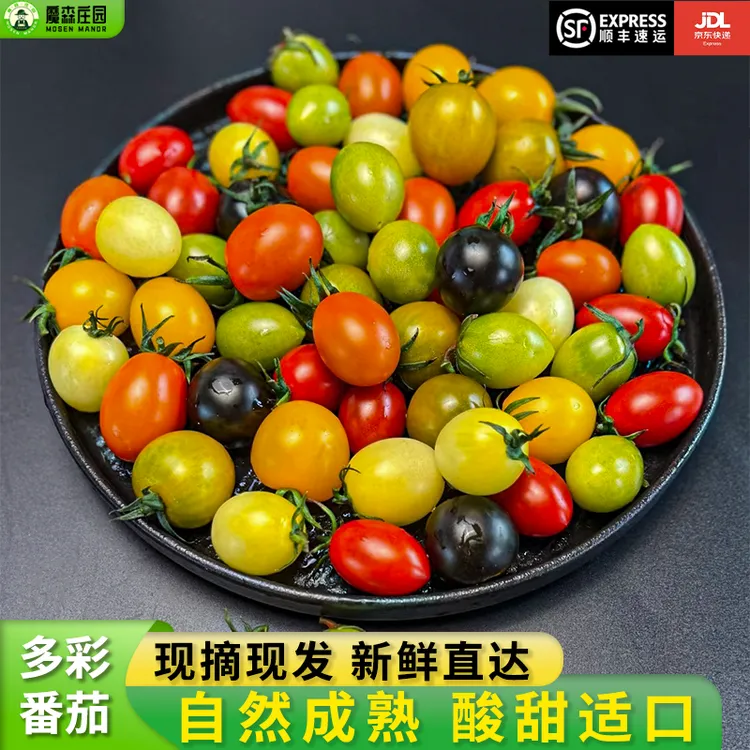 [顺丰/京东包邮]山东四色/六色小番茄“一番好柿”礼盒低糖水果现摘
