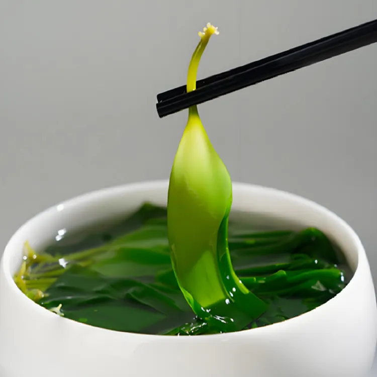 霞浦盐渍海带苗嫩苗脆嫩爽滑可凉拌煲汤火锅食材