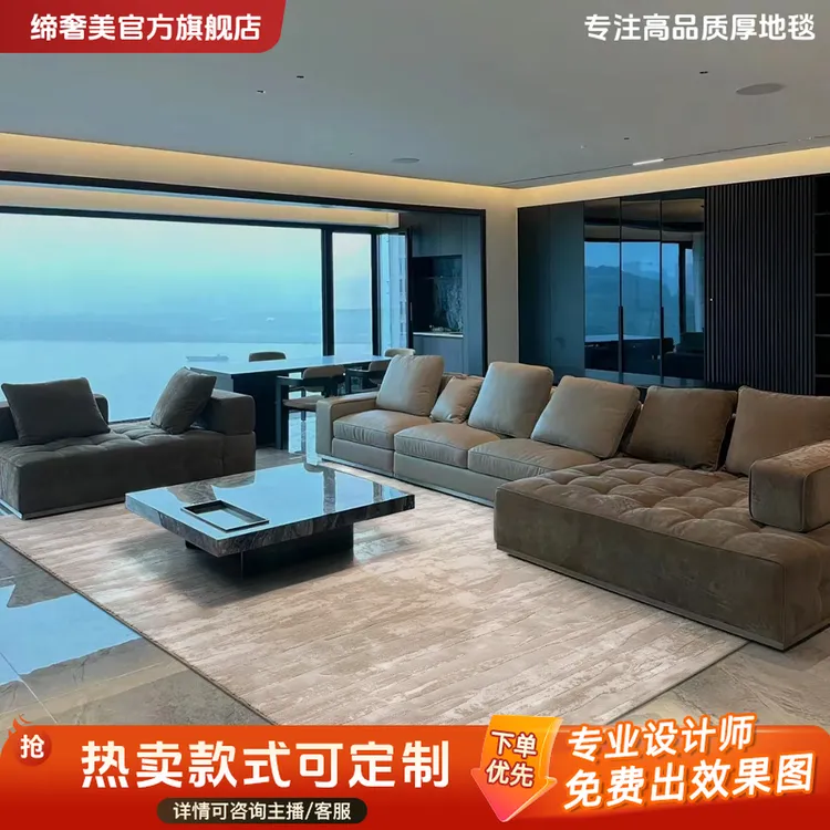 缔奢美家用土耳其进口无胶防水轻奢高档茶几垫地毯客厅毯床边毯商品图