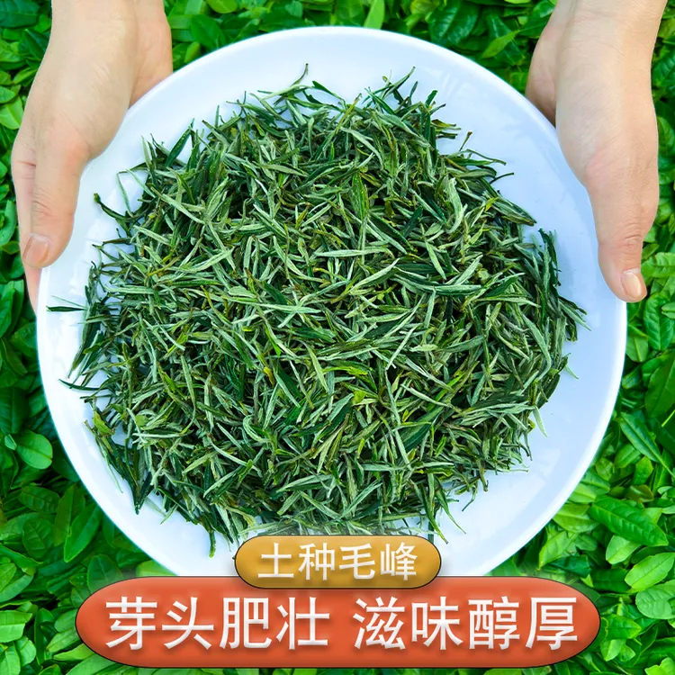 【2025新茶】土种毛峰雨前新茶春茶安徽歙县高山绿茶叶一芽两叶