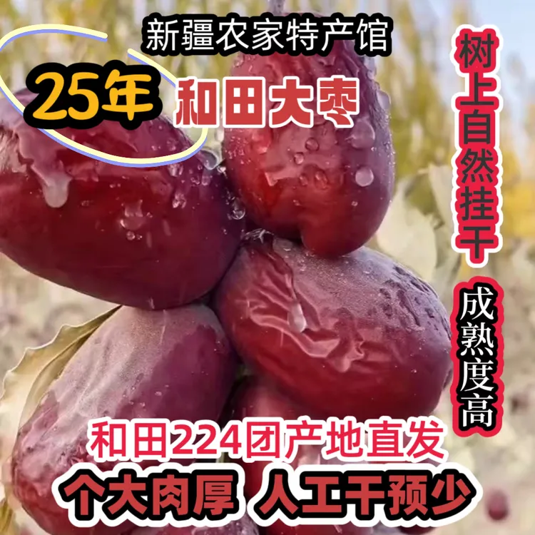 25年新疆和田大枣未清洗带土自然吊干特级和田大枣适合煲汤煮粥