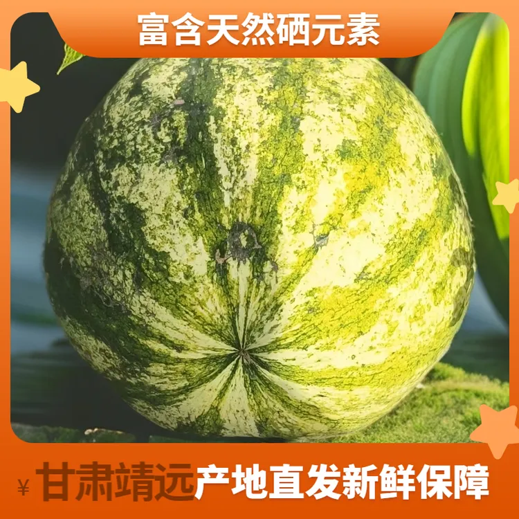 甘肃靖远旱沙地石头籽瓜大变小产地直发敖汉