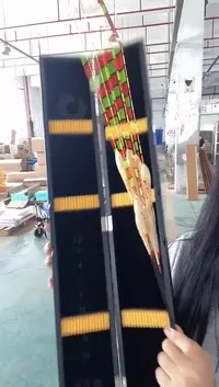 宝飞龙胡木漂盒带10支芦苇浮漂
