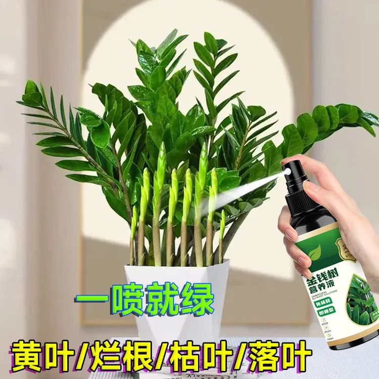 金钱树专用营养液黄叶掉叶枯萎催芽家用绿植盆栽正品有机营养液