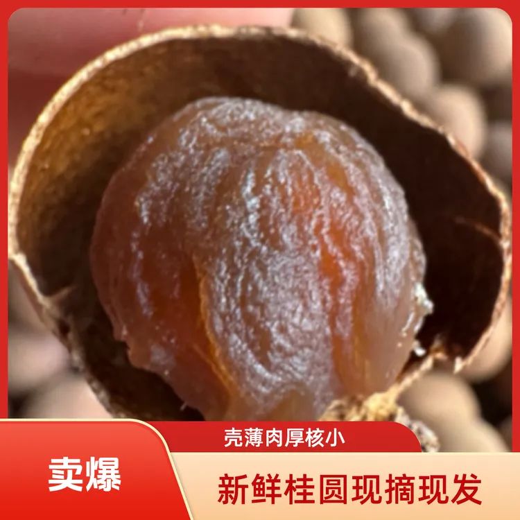 高州储良桂圆干当季新货，香甜肉厚
