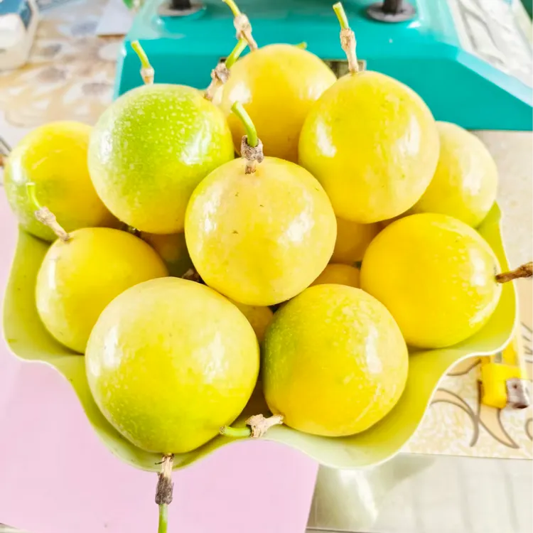 广西十万大山正宗高山钦蜜9号黄金百香果新鲜当季香甜多汁富含维C