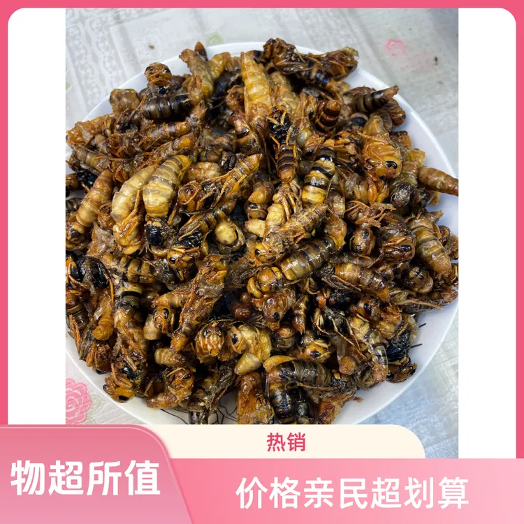 2级小黄 金环虎头蜂土蜂地蜂胡蜂油炸蜂蛹 昆虫原味蜂蛹 营养美食