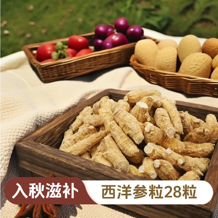 【秋冬推荐】精选好参西洋参粒味浓郁泡水煲汤一包28粒