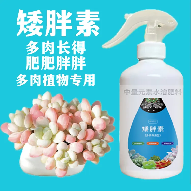 【多肉专用】矮胖素直喷适用多肉植物营养液绿植营养液夏季喷洒增肥商品图