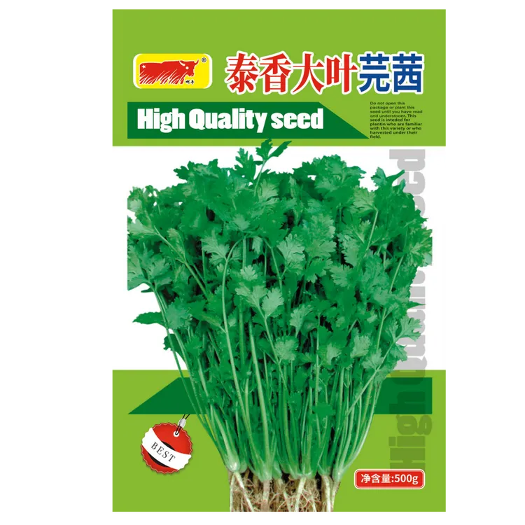 泰香芫茜种子芥菜蔬菜香菜种子（净含量：500克）