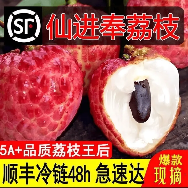 顺丰包邮 正宗广东仙进奉荔枝1/6斤挂绿当季新鲜水果王糯米糍桂味