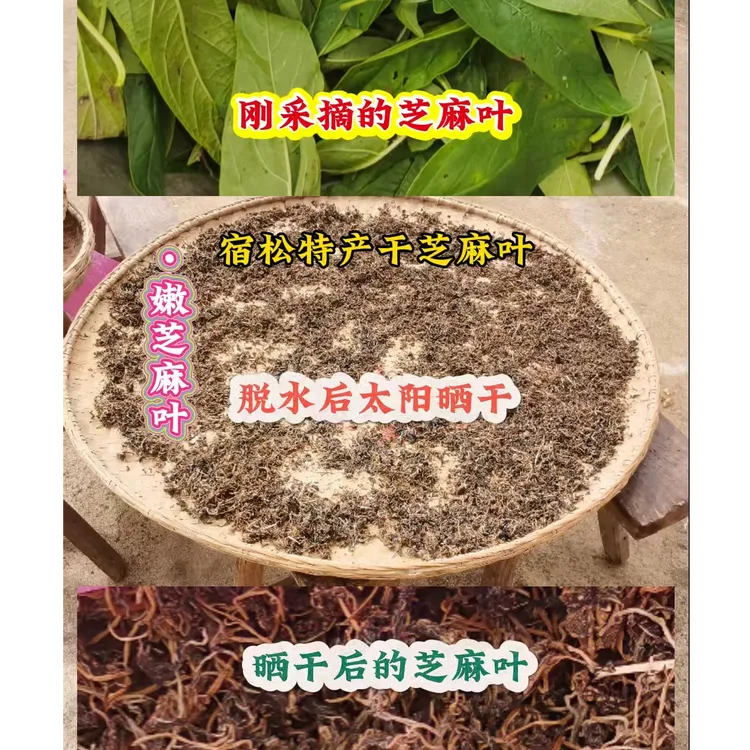 新货芝麻叶宿松特产干芝麻叶农家晒干嫩芝麻叶