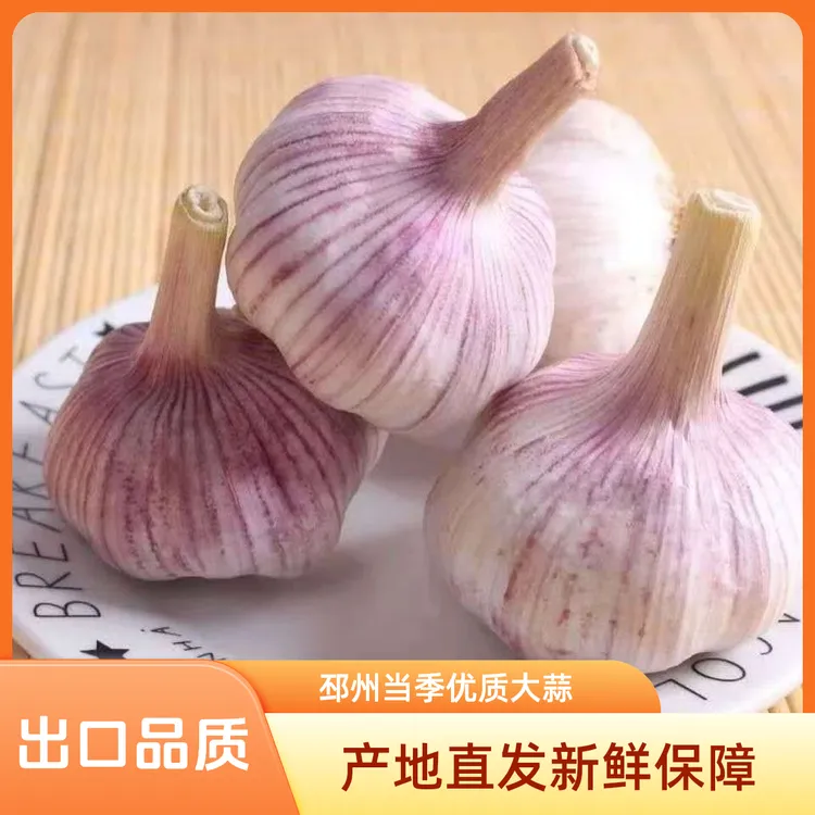 【农家土蒜】2025年新干大蒜蒜农直发紫白皮新鲜全干大蒜头