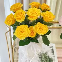 【两个老六卖花花】单玫契机-任意2单鲜花包邮 云南鲜花
