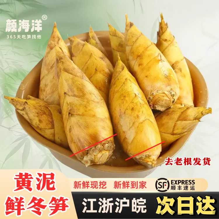 临安发货冬笋高山黄泥现挖新鲜冬笋两头尖鲜嫩爽口时令蔬菜竹笋