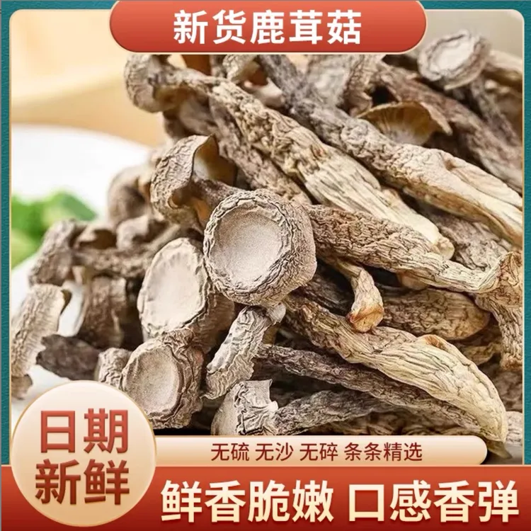 高山鹿茸菇干新货农家特产煲汤炒菜鲜嫩鲜香美味