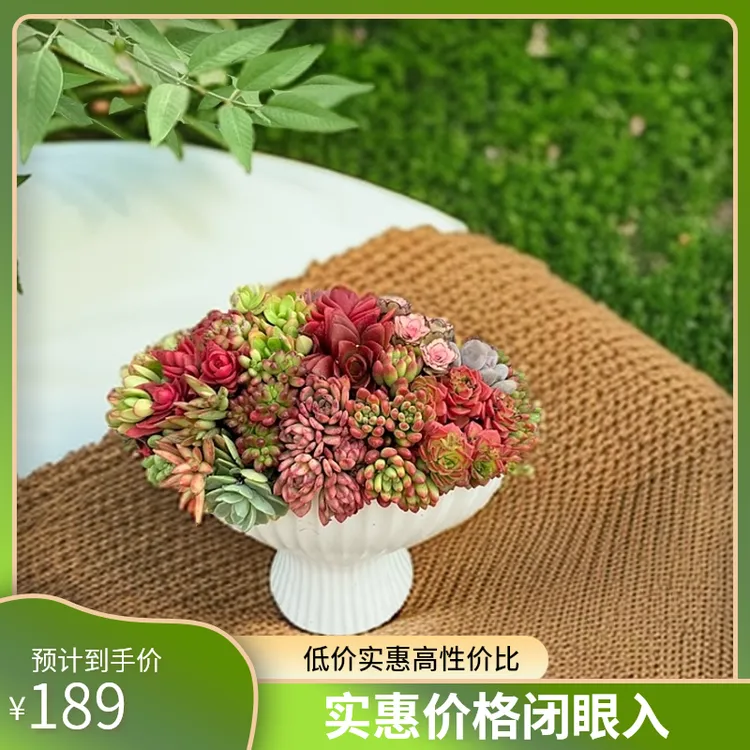 景天造景（浪漫手捧花）多肉组合盆景 室内外绿植 好养好活栽好种好