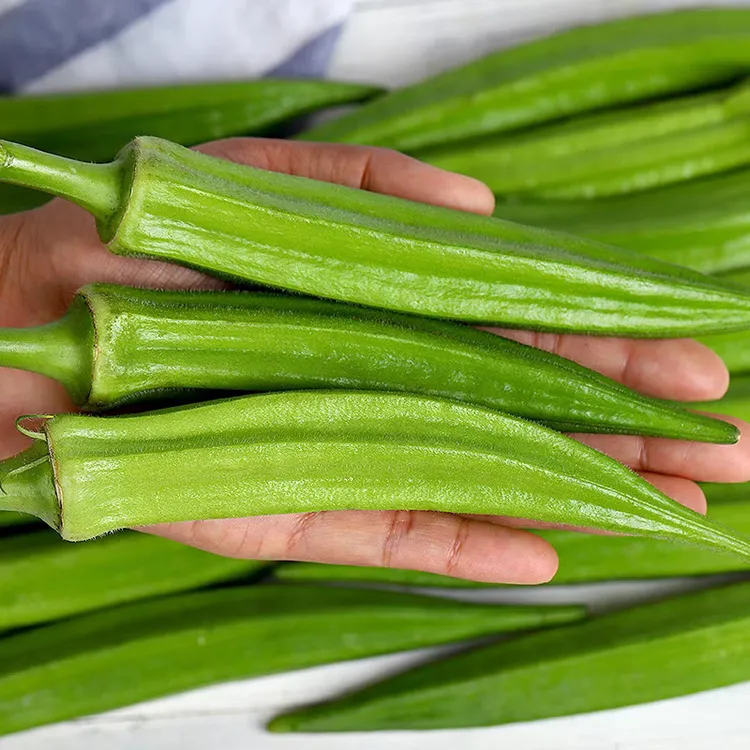 【产地直发】秋葵新鲜山东秋葵当季蔬菜羊角豆水果秋葵农家批发