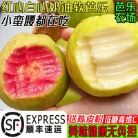 推荐【树熟顺丰专线】红心白心双拼奶油软芭乐应季低糖高VC软糯水果