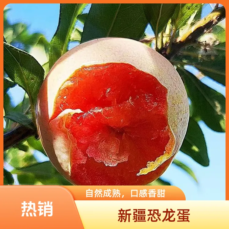 (顺丰空运)新疆喀什恐龙蛋孕妇老人小孩适用酸甜可口美国品种