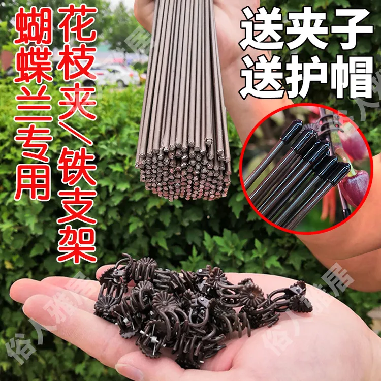 蝴蝶兰支架支撑杆造型架子园艺花卉花枝夹子蔓藤爬藤植物固定夹子商品图
