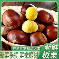 【新鲜采摘】高山老树新鲜去青壳板栗粉糯香甜坏果包赔