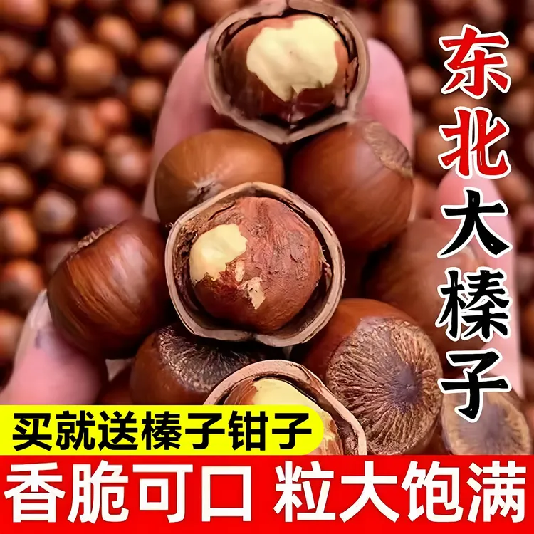2025大果榛子大榛子新货炒熟不开口自然成熟高端营养坚果