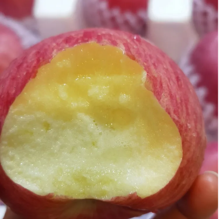 甘肃庆阳红富士苹果冰糖心顺丰包邮果园直供脆甜爆汁新鲜甘肃苹果