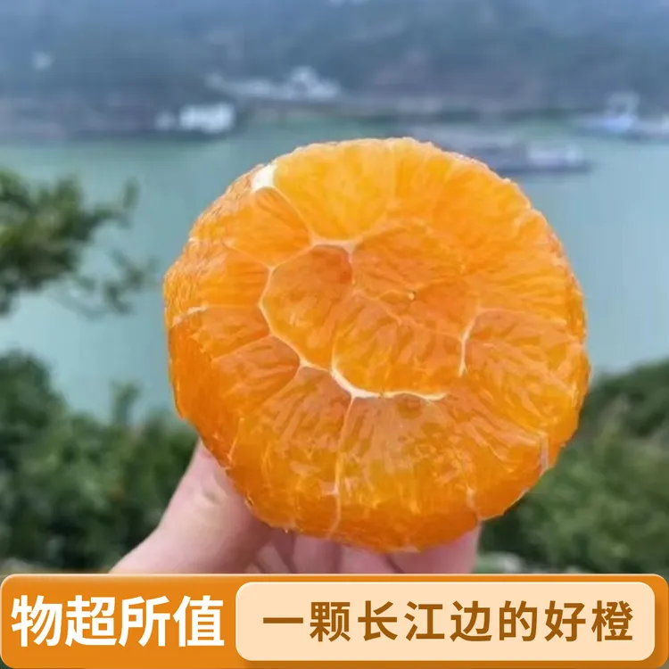 新鲜产地果冻橙子冰糖橙脐橙冰糖橙脐橙九月红九月红果冻橙