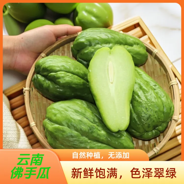 高山现摘新鲜佛手瓜当季蔬菜自种瓜清甜多汁当季新鲜蔬菜