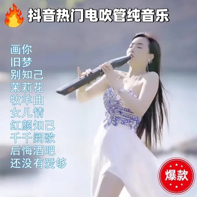 车载电吹管纯音乐u盘情罪抖音热门精选电吹管纯无损音乐优盘