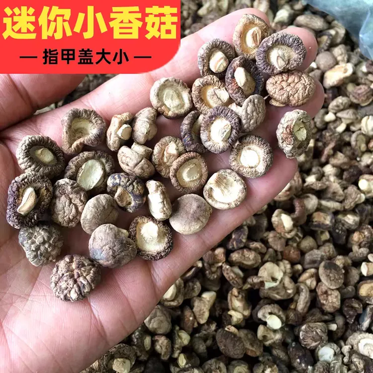 云南野生小香菇高山农家小香菇鲜美煲汤炒菜营养珍珠菇香菇干货